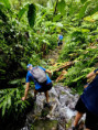 /album/fotogaleria-karibik-island-hopping-zajazd-vy-a-my/tobago-barbados-st-lucia-dominica-24-jpg1/